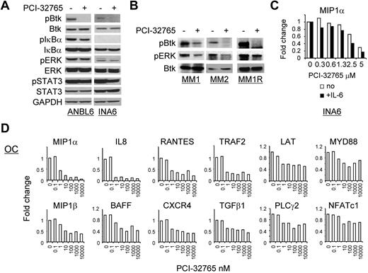 Figure 6. PCI-32765 significantly altered gene expression in MM cells and OC lineage cells stimulated with M-CSF/RANKL. (A) MM (ANBL6, INA-6) were treated with PCI-32765 (1μM) for an hour, and cell lysates were subjected to immunoblotting using specific Abs to determine the effects of the drug on Btk signaling cascade. (B) Patient MM cells (MM1, MM2) and MM1R cells were treated with PCI-32765. (C) INA6 cells, with or without IL-6, were treated with PCI-32765 overnight followed by real-time quantitative RT-PCR for MIP-1α/CCL3, which was normalized to HPRT as an internal control. Fold changes triggered by the drug were further normalized relative to the medium control. (D) Human donor OCPs stimulated with M-CSF/RANKL were treated with PCI-32765 for 7 days, and mRNA changes of these target genes were assayed by real-time quantitative RT-PCR using specific primers.