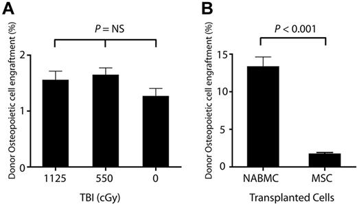 Figure 1. Donor-derived osteopoietic engraftment after bone marrow cell infusions. (A) Donor osteopoietic cell engraftment, expressed as a percentage of donor bone cells in the metaphysis and epiphysis, when ex vivo–expanded murine MSCs were infused after varying doses of TBI. (B) Donor osteopoietic cell engraftment when NABMC or MSCs were infused after 1125 cGy TBI. All data are mean ± SEM.
