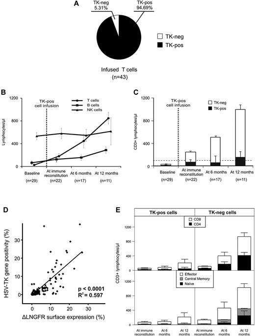 Figure 1. Infusion of purified TK+ cells after T cell–depleted HSCT prompts the immune recovery of TK−-naive T cells. (A) Composition of 43 genetically modified T-cell products infused into 25 patients enrolled in the TK007 clinical trial. After magnetic selection, the large majority of infused cells expressed the surface marker ΔLNGFR (TK+ cells, shown in black), whereas only a minor fraction was negative for the transgene (TK− cells, shown in white). (B) Absolute counts of circulating T (circles), B (squares), and natural killer (NK; triangles) lymphocytes in TK007 patients. Shown is the average with SD. (C) Absolute counts of circulating T cells in TK007 patients before (baseline) and at different time points after the infusion of TK+-cell add-backs (at immune reconstitution, defined as the attainment of a CD3 cell count above 100 cells/μL; at 6 months after HSCT; and at 12 months after HSCT). Histogram bars are subdivided to represent the relative frequency of circulating TK+ (in black) and TK− (in white) T cells at each time point. Shown is the average with SD. (D) Correlation between the frequency of PBMCs expressing on their surface the ΔLNGFR marker (on the x axis) and that of PBMCs having integrated in their genome the HSV-TK transgene as assessed by specific qPCR (on the y axis) in 25 patients enrolled in the TK007 trial. (E) Absolute counts of circulating TK+ (left panels) and TK− (right panels) T cells at different time points after HSCT and TK+ cell add-backs subdivided according to the CD4 or CD8 subtype (in black and white, respectively; top panels) and to their naive, central memory or effector phenotype (in black, gray, and white, respectively; bottom panels). Shown is the average with SD of the results obtained from 10 TK007 patients.
