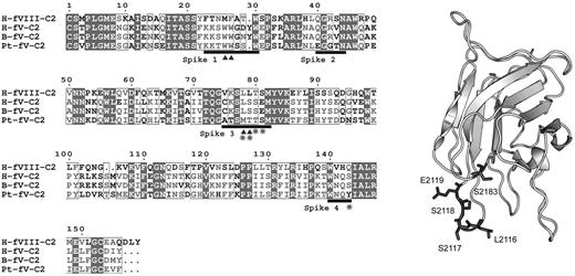 Figure 5. P textilis–motivated FV mutant. (Left) Sequence alignment of the C2 domains from human FVIII (H-FVIII-C2), human FV (H-FV-C2), bovine FV (B-FV-C2), and the FV-homologous subunit of pseutarin C from P textilis venom (Pt-FV-C2). Black bars represent the 4 lipid binding spikes with the hydrophobic residues marked with triangles. Amino acids that were mutated to make FVMTTS/Y are starred. (Right) Locations of the mutated amino acids on the C2 domain of human FV are shown with original side chains in dark gray with the rest of the backbone in light gray. Residue numbers relate to the full-length human FV. Numbering references follow HGVS standard, using Met of respective propeptides as 1.