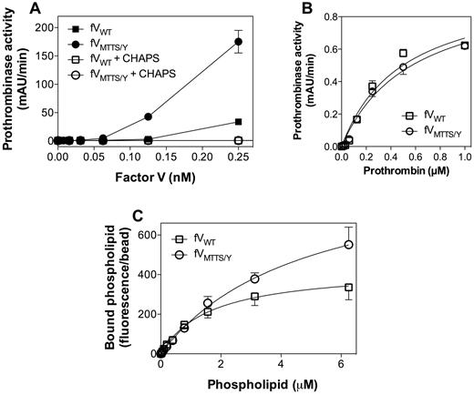 Figure 6. Membrane-independent activity, apparent prothrombin and FXa affinities, and phospholipid binding affinity of FVMTTS/Y. (A) Various concentrations of FVWT or FVMTTS/Y with or without a 1% CHAPS wash during purification were mixed with FXa (0.4nM) and prothrombin (1μM) in the absence of phospholipid vesicles. Washing with 1% CHAPS during purification abolished all apparent lipid-independent activity. (B) Apparent KM for the prothrombinase complex with mutant or WT CHAPS-washed FV was determined with saturating concentrations of vesicles of composition 4:20:76 (PS:PE:PC). FVMTTS/Y showed the same apparent affinity for prothrombin as FVWT. Values represent mean ± SEM for at least 2 experiments, each performed in duplicate. (C) Direct affinity for phospholipid vesicles was evaluated for FVWT or FVMTTS/Y by immobilizing FV to mAb CBC-MOR101 covalently linked to Superose beads. Beads were incubated overnight with either FVWT or FVMTTS/Y and then mixed with various concentrations of fluorescein-labeled vesicles of composition 4:5:20:71 (PS:PE-CF:PE:PC). After 30 minutes, the quantity of vesicles bound to FVWT or FVMTTS/Y was measured by flow cytometry. The vesicle dissociation constants were 4.8 ± 1.1μM for FVMTTS/Y and 1.7 ± 0.4μM for FVWT. Data represent the mean ± SEM for at least 4 experiments.