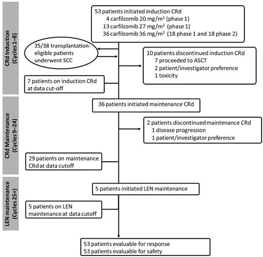 Figure 2. Patient flow. Median duration of treatment (N = 53); 12 cycles (range, 1-25). One cycle = 28 days. ASCT indicates autologous stem cell transplantation; CRd, carfilzomib, lenalidomide, dexamethasone; LEN, lenalidomide monotherapy; and SCC, stem cell collection.