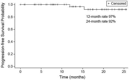 Figure 4. PFS (N = 53).