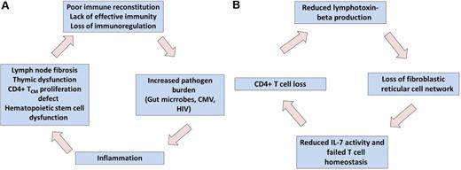 Two connected self-perpetuating cycles of inflammation, lymphoid tissue fibrosis, and immunodeficiency might be central to pathogenesis of antiretroviral untreated and treated HIV infection. Systemically, HIV-mediated increases in inflammation results in T-cell homeostasis, immunodeficiency, increased pathogen burden, and more inflammation (A). Within the local lymphoid tissues, HIV-associated CD4+ T-cell loss results in reduced production of lymphotoxin-beta, which is essential in maintaining the architecture necessary to produce new T cells (B). Professional illustration by Paulette Dennis.