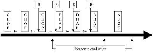 Figure 1. Treatment schedule.