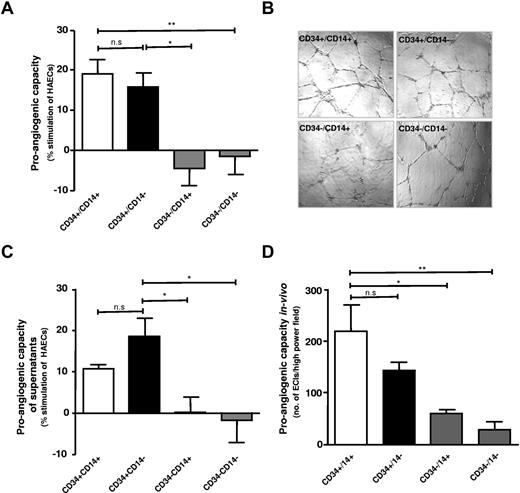 Figure 1. CD34+CD14+ and CD34+CD14−+ PBMCs exhibit increased proangiogenic effects compared with CD34−CD14+ and CD34−CD14− PBMCs. (A) Quantification of tube formation by CD34+CD14+ and CD34+CD14− (□ and ■) as opposed to CD34−CD14+ and CD34−CD14− (▩). (B) Representative photographs of tube formation in high-power field (n = 8). (C) Conditioned medium of CD34+ fraction of PBMCs (□ and ■) promoting tube formation, which was not observed in the CD34− PBMC fractions (▩) (n = 5-6). (D) CD31 staining quantification by Image J, in sections of in vivo Matrigel plug sections (n = 4); EC indicates endothelial cell. Data are mean ± SEM.