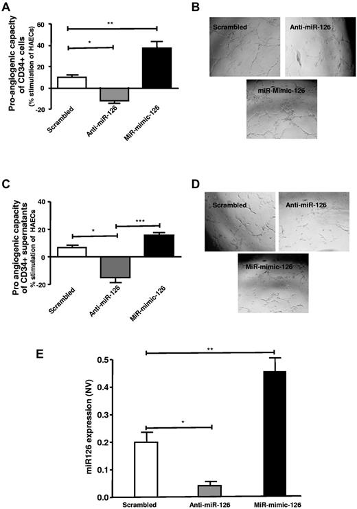 Figure 4. Increased proangiogenic capacity of CD34+ PBMCs is critically dependent on miR-126 expression. (A) Shows transfected CD34+ cells, with anti–miR-126 (▩) and miR-mimic 126 (■), effect on tube formation stimulation, respectively, compared with that of scrambled (□) transfected cells. (B) Representative photographs of tube formation in high-power field (n = 6-10). (C) Supernatant of transfected CD34+ cells effect on proangiogenic stimulation of endothelial cells is shown. (D) Photographs of tube formation in high-power field (n = 4). (E) Altered miR-126 expression levels on transfection of CD34+ cells with anti–miR-126 (▩) and miR-mimic-126 (■) (n = 4-6). MicroRNA expression is normalized to U6, small nuclear RNA, and expressed as normalized value (NV). Data are mean ± SEM.