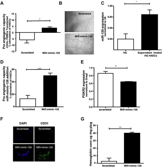 Figure 7. Proangiogenic capacity of CD34+ cells and capillary formation is increased by increasing miR-126 levels in high-glucose–treated CD34+ cells. (A) High-glucose–treated CD34+ cells were transfected with scrambled (□) and miR-mimic-126 (■) and the effects on endothelial cell tube formation are shown. (B) Representative photographs of tube formation in high-power field (n = 4). (C) MiR-126 levels in high-glucose–treated (HG) endothelial cells after treatment with healthy CD34+ cell supernatant. (D) Effect of direct exposure of high-glucose–treated HAECs to 25pmol scrambled-miR (□) or miR-mimic-126 (■) on tube-formation is shown (n = 5). (E) Expression levels of PI3KR2 in high-glucose–treated HAECs treated with 25pmol scrambled-miR (□) or miR-mimic-126 (■; n = 3-5). (F) Capillaries in the plug were assessed by staining for CD31 (green) and DAPI (blue) in in vivo Matrigel plug assay in diabetic mice (streptozotocin-induced) after administration of miR-mimic-126 or scrambled miR; a representative image is shown. (G) Hemoglobin content was assessed in the subcutaneously implanted Matrigel plugs of animals receiving scrambled or miR-mimic-126 (directly into plugs; n = 4). Data are mean ± SEM.
