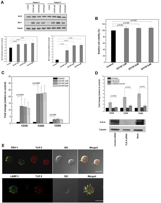 Figure 1. TLR9-driven immunostimulation of free G3139 is associated with limited modulation of Bcl-2 expression. (A) Effect of free G3139 on Bcl-2 and Mcl-1 protein levels. Top panel shows 2 representative Western blot results of n = 10 B-CLL patient cells. Primary CLL B cells were incubated with 1, 2, and 5μM G3139 for 48 hours and then collected and lysed for Western blot analysis. Bottom panel shows average Western blot band intensities determined by densitometry. Data are presented as relative percentages compared with untreated cell controls (for Bcl-2, n = 10, mean ± SEM; for Mcl-1, n = 4, mean ± SEM). (B) Relative CLL B-cell viability normalized to medium control, determined by annexin V/propidium iodide staining (n = 10). Primary CLL B cells were incubated with 1, 2, and 5μM G3139 for 48 hours. Relative cell viability was defined as the percentage of annexin V− and propidium iodide− cells relative to the untreated control group. (C) Fold changes of surface markers relative to medium controls in CLL B cells after G3139 treatment. Primary CLL B cells were incubated in the presence of 1, 2, and 5μM G3139. After 48 hours, expressions of CD40, CD80, and CD86 were measured by flow cytometry. The data are presented according to MFI (n = 10, mean ± SEM). (D) Effect of knock-down of TLR9 on the immunostimulatory properties of G3139. Top panel is the fold changes of surface markers relative to medium controls after TLR9 down-regulation by siRNA. Primary CLL B cells were transfected by TLR 9 siRNA using electroporation and incubated for 48 hours, followed by further treatment with 1μM G3139. After 24 hours, the expressions of CD40, CD80, and CD86 were measured by flow cytometry. The data are presented as MFI (n = 4, mean ± SEM). Variable cell death (5%-20%) after transfections was observed. Bottom panel is a representative Western blot showing down-regulation of TLR9 expression by siRNA. (E) Subcellular distribution analysis of TLR9 in CLL B cells. Purified CLL B cells were fixed and stained intracellularly with anti-TLR9, anti–EEA-1, or anti–LAMP-1 antibodies as described. Images were acquired using an Olympus FV1000 confocal microscope. Scale bar indicates 10 μm. The white arrows indicate colocalization (yellow dots).