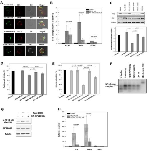Figure 3. Differential compartmentalization, immunostimulatory effects, target down-modulation, and cytotoxicity by G3139 and RIT-INP–G3139 in CLL B cells. (A) RIT-INPs mediate the early endosomal compartmentalization of G3139. Purified CLL B cells were incubated with free FAM-G3139 (2μM) or RIT-INP–FAM-G3139 (2μM) for 1 hour. Cells were washed, fixed, and stained with anti–EEA-1 or anti–LAMP-1 antibodies for confocal observation. The white arrows indicate the colocalization (yellow dots). Scale bar indicates 10 μm. (B) Fold changes of costimulatory molecules relative to medium control in CLL B cells. Primary CLL B cells were incubated in the presence of free G3139 (1μM), and RIT-INP–G3139 (1μM). The data are based on MFI. Results are shown as means of n = 10 independent experiments. (C) Effect of RIT-INP–G3139 on Bcl-2 protein level. Top panel is a comparison of relative Bcl-2 protein level (n = 5, mean ± SEM). Primary CLL B cells were incubated with free G3139 or HER-INP- or RIT-INP–formulated G3139 and G3622 at 2μM for 48 hours. Average Western blot band intensities were determined by densitometry and data are presented as relative percentages compared with untreated cell controls. Bottom panel is a presentative Western blot analysis of Bcl-2 protein in CLL B cells. (D) Relative percentage of CLL B-cell viability normalized to medium controls. CLL B cells were treated with various conditions at 37°C for 48 hours. The percentage of viable cells was determined by annexin V/propidium iodide staining and was analyzed by flow cytometry (n = 5, mean ± SEM). (E) Improved cytotoxicity of fludarabine after treatment by G3139-loaded RIT-INPs. Relative cell viability was determined by propidium iodide staining of free G3139 and various G3139-containing INPs at 1μM for 24 hours, followed by fludarabine (1μM) for another 48 hours. Results are presented as means of n = 4 independent experiments. (F) Induction of NF-κB–binding activity detected by the EMSA assay. CLL B cells were incubated with free G3139 and INP-loaded G3139 at 1μM for 4 hours. The CLL cells were stimulated with 500 ng/mL of CD40L for 1 hour as a positive control. (G) Western blot analysis of NF-κB (p65) phosphoration. CLL B cells were incubated with free G3139 and INP-loaded G3139 at 1μM for 3 hours, followed by lysis for Western blot analysis. (H) Differential cytokine inductions of IL-6, TNF-α, and IFN-γ on CLL B cells. Primary CLL B cells were treated under the indicated conditions for 48 hours. Supernatants were collected for ELISA analysis.