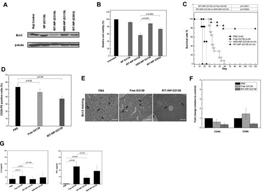 Figure 5. Evaluation of in vivo therapeutic efficacy of RIT-INP–G3139. (A) Enhanced Bcl-2 down-regulation of RIT-INP–G3139 in Raji cells. Raji cells were treated with free G3139 (2μM) or various formulated G3139 (2μM) and G3622 (2μM) for 48 hours. Cells were collected and lysed for Western blot analysis. (B) Relative percentage of Raji cell viability of RIT-INP–G3139 normalized to medium control. The percentage of viable cells was determined by annexin V/propidium iodide staining and was analyzed by flow cytometry. Results are presented as means of n = 3 independent experiments. (C) Survival curve for NOD-SCID Raji mice treated with various formulations of G3139 at 5 mg/kg. NOD-SCID mice engrafted with 2 × 106 Raji cells on day 0. The 10-day treatment was initiated via IP injection on day 4. For another in vivo study (D-G), mice were engrafted by Raji cells and treated with free G3139 (5 mg/kg), RIT-INP–G3139 (5 mg/kg), or HER-INP–G3139 (5 mg/kg) on day 10 after inoculation and total 3 treatments were given for each group. On day 15, mice were killed for analysis. (D) Percentage of CD20+ cells from BM assessed by flow cytometry. (E) Immunohistochemical staining of Bcl-2 on BM from the Raji xenograft model. The arrows indicate the intracellular Bcl-2 stained Raji cells (brown color) among the control and treated groups. (F) Fold changes of costimulatory molecules (CD40 and CD86) in cells from BM. Data were normalized to the PBS-treated group (n = 4, mean ± SEM). (G) Cytokine production of IL-6 (n = 4) and IFN-γ (n = 4) in serum from mice treated with PBS, free G3139 (5 mg/kg), and RIT-INP–G3139 (5 mg/kg) or HER-INP–G3139 (5 mg/kg). Cytokine release was determined by ELISA.
