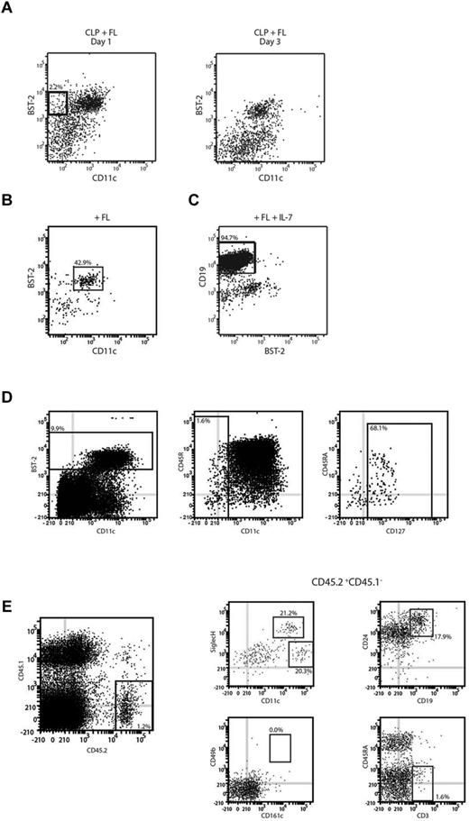 Figure 2. Identification of intermediate CLP-derived pDC precursors. (A) The transient pDC precursor. CLPs were cultured with FL for 1-2 days. CLP-derived cells were analyzed for expression of the DC markers BST-2 and CD11c. (B) pDC products of this precursor. CD11c−BST-2+ cells were sorted after 2 days of culture, recultured with FL, and analyzed after 2 days for the presence of CD11c+BST-2+ pDCs. (C) B-cell products of this precursor. CD11c−BST-2+ precursors were sorted and cultured on OP9 stromal cells with IL-7 and FL. Progeny were analyzed after 7 days for the presence of CD19+ B cells. (D) An equivalent precursor population in BM. BM from C57Bl/6 was depleted for a selection of lineage antigens (CD3, CD11b, CD19, TER119, and Ly6G) and then BST-2+CD11c−IL-7Rα+ cells were sorted from the lin− BM. (E) In vivo products of this BM precursor. The sorted cells were adoptively transferred into lethally irradiated CD45.1 recipients. Six to 14 days after transfer, recipient spleens were analyzed for the presence of CD45.2+ donor-derived cells and within the donor-derived cells for the presence of Siglec H+CD11cint pDCs, Siglec H−CD11chigh cDCs, CD24+CD19+ B cells, CD49b+CD161c+ NK cells, and CD3+ T cells. Results represent the peak responses at day 6 for DCs and at day 14 for lymphoid cells. Results are representative of 5 (A), 3 (B), or 2 (C-E) independent experiments.