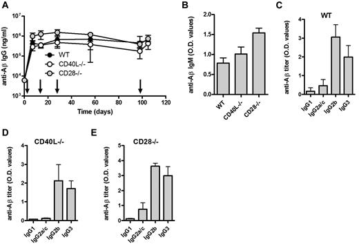 Figure 3. Aβ-peptide liposomes induce IgG responses independent of CD40L and CD28. (A) Anti-Aβ IgG antibodies in the sera of WT, CD40L−/−, and CD28−/− mice receiving Aβ-peptide liposomes as indicated by arrows. Results are expressed as mean ± SD (n = 6 per group). (B) Analysis of anti-Aβ IgM and in the sera of WT, CD40L−/−, and CD28−/− mice from day 7. Results are expressed as mean OD values at a dilution of 1/100 + SD (n = 6 per group). (C-E) Analysis of anti-Aβ IgG subclasses in the sera of WT, CD40L−/−, and CD28−/− mice receiving Aβ-peptide liposomes. Analysis of IgG subclasses were done on sera prepared from blood on day 28. Results are expressed as mean OD values at a dilution of 1/400 + SD (n = 6 per group).