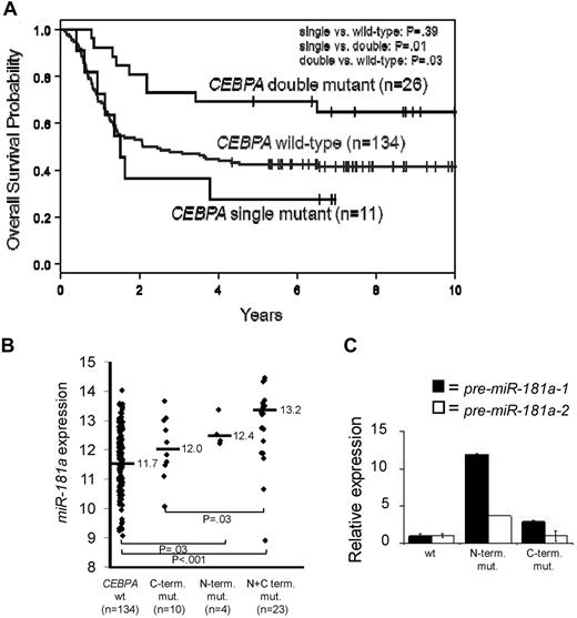 Figure 1. C/EBPα-p30 expression is correlated with increased miR-181a expression. (A) Overall Survival of younger (18-59 years) CN-AML patients with CEBPA wild-type, single mutations (N or C-terminal), or double mutations (N and C-terminal mutations together). (B) miR-181a expression in younger (18-59 years) CN-AML patients with either CEBPA wild-type (CEBPA wt), monoallelic C-terminal mutations (C-term. mut.), monoallelic N-terminal mutations (N-term. mut.), or concurrent N and C-terminal mutations (N+C term. mut.). (C) Representative patient bone marrow samples with characterized CEBPA mutations effecting either the N-terminus or C-terminus of the C/EBPα protein. Quantitative real-time RT-PCR data showing the association of the CEBPA mutation status and expression of the precursor (pre) miR-181a-1 (encoded on chromosome 1 locus) or miR-181a-2 (encoded on chromosome 9 locus). Each bar represents the average of triplicate measurements and error bars denote SEM.