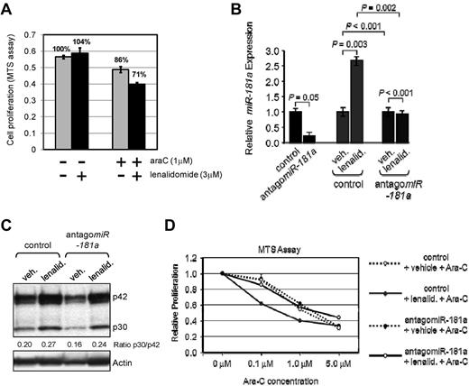Figure 6. Lenalidomide induced miR-181a expression sensitizes leukemia cells to conventional chemotherapy. (A) Untransfected THP-1 cells were cultured for 6 days in the presence of 3μM lenalidomide alone, 1μM ara-C alone, both drugs together (as indicated by “+” or “−” below the graph), or vehicle control (PBS; the left-most bar) and MTS proliferation assay was performed. The bars represent averages from 3 to 4 readings. SEM and relative percentages of proliferation rate are shown. (B) Quantitative real-time RT-PCR analysis for the expression of miR-181a in THP-1 cells transiently transfected with nontargeting control (negative control) or antagomiR-181a. Endogenous expression of miR-181a was found to be lower in those cells transfected with antagomiR-181a before drug treatments (black bars). After the treatment with 3.0μM lenalidomide, miR-181a expression was increased among those cells previously transfected with nontargeting control (red bars). In contrast, the expression of miR-181a was relatively unchanged among those cells transfected with antagomiR-181a followed by 3.0μM lenalidomide treatment (blue bars). Data are shown as an average of measurements and error bars denote SEM. (C) Western blot for those cells described in panel A with the additional treatment with either 3.0μM lenalidomide or vehicle control for 3 days. The expression of C/EBPα (p42 and p30) was found to be higher in those cells treated with lenalidomide, regardless of earlier transfection status described in panel A. Actin served as an internal loading control. (D) THP-1 cells transfected with nontargeting control, or antagomiR-181a were cultured with various concentrations (0-5μM) of cytarabine (Ara-C) in the presence of 3.0μM lenalidomide (lenalid.; solid lines), or vehicle (broken lines) for 72 hours and cellular proliferation was measured by MTS assay. Each datapoint represents an average of 3 measurements.