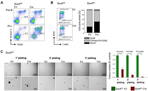 Figure 2. Sox4 is required for pre-B ALL cell survival and proliferation. Effects of inducible activation of Cre or empty vector (EV) control in Sox4fl/fl pre-B ALL cells was studied on viability/apoptosis (A), cell cycle regulation (B), and colony formation in methylcellulose (C). In panel A, Sox4fl/fl was deleted in IL7-dependent normal pre-B cells (top) and BCR-ABL1–transformed ALL cells and viability changes were measured in both after 2 days of induction of Cre. In panel B, cells were stained with BrdU and 7AAD after 1 day of Sox4 deletion and percentages of cells in G0/1, S and G2/M phases of the cell cycle are indicated (n = 3; P = .008 for S phase) and shown in a bar graph (bottom). In panel C images for colonies in a serial replating assay are shown and quantitative analysis (right; n = 3).