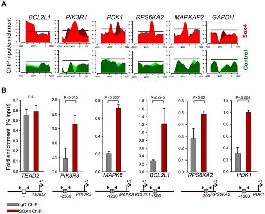 Figure 4. SOX4 binds to promoters of PI3K-AKT and MAPK8 pathway genes in Ph+ ALL. ChIP-on-chip data of human prostate cancer cells for SOX4 binding11 was analyzed (GSE11874) and specific binding at BCL-XL (BCL2L1), MAPK and PI3K/AKT-related loci is shown (A). Specific binding of SOX4 to PIK3R3, MAPK8, BCL2L1, RPS6KA2, and PDK1 promoters in human Ph+ ALL cells was verified by single-locus quantitative ChIP (B). The putative DNA bindinig motif (gray box) and primer (arrows) are indicated in the diagram for each of the specific gene locus.