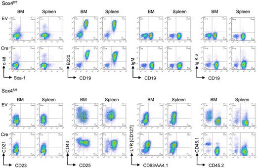 Figure 7. Phenotype of pre-B ALL on Sox4 deletion in vivo. BCR-ABL1–transformed mouse pre-B ALL from bone marrow of Sox4fl/fl mice were transduced with 4-hydroxy tamoxifen (4-OHT)–inducible Cre (Cre) or an empty vector control (EV). Two × 106 leukemia cells were injected into NOD/SCID recipient mice in each group. Phenotypic changes on deletion of Sox4 were studied by flow cytometry after isolation of leukemia cells from killed animals and staining for c-kit, Sca-1, CD19, B220, IgM, Igκ, and Igλ light chains, CD21, CD23, CD43, IL2RA (CD25), IL7R (CD127), and AA4.1 (CD93). BCR-ABL1 transduced ALL cells from donor bone marrow of Sox4fl/fl mice express CD45.2 but not CD45.1. Donor-derived leukemia cells can be identified as CD45.2+ cells after injection into CD45.1+ NOD/SCID recipient mice.