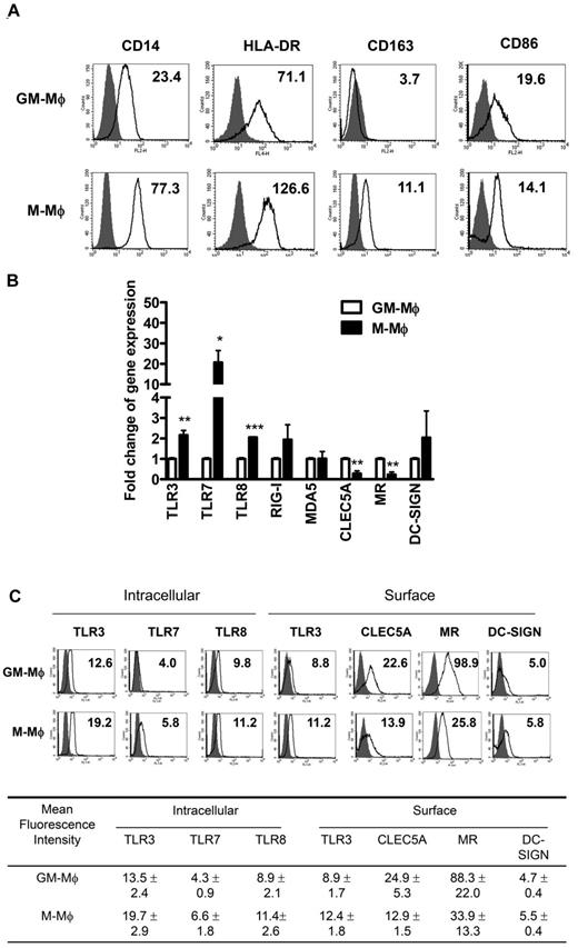 Figure 1. Expression of DV-recognizing pattern-recognition receptors and sensors in GM-Mφ and M-Mφ. (A) Surface markers in GM-Mφ and M-Mφ were examined by flow cytometry. Gray area represents isotype control; and solid lines, mAb staining. The numbers in the figure show the mean fluorescence intensity (MFI) of mAb staining. (B) TLRs, intracellular sensors (RIG-I, MDA-5), and C-type lectins (CLEC5A, MR, and DC-SIGN) gene expression in GM-Mφ and M-Mφ were examined by real-time PCR and normalized by their comparative internal control, GAPDH. Fold change of gene expression in the y-axis was calculated based on the same gene expression in GM-Mφ. Data are mean ± SEM from 3 independent experiments. *P < .05. **P < .01. ***P < .001 (all P values Student t tests). (C) Expression of TLRs and CLRs in GM-Mφ and M-Mφ was examined by flow cytometry. The expression of surface TLR3, CLRs, and intracellular TLRs (TLR3, TLR7, and TLR8) was detected by flow cytometry. Gray area represents isotype control; and solid lines, mAb staining. The numbers in the figure show the MFI of mAb staining (top panel). The MFI of TLRs and CLRs was determined using Cellquest Version 3.3 software and was expressed as the mean ± SEM from 3 independent experiments (bottom panel).
