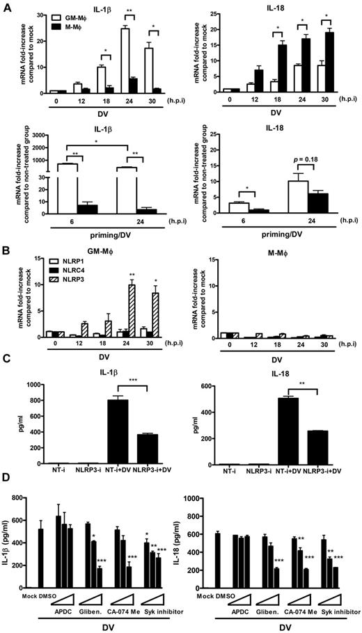 Figure 5. DV-induced IL-1β/IL-18 secretion is dependent on NLRP3 inflammasome activation in GM-Mφ. (A) Determination of cytokine mRNA levels by real-time PCR. GM-Mφ or M-Mφ were either incubated with DV directly (top panels) or primed with LPS (5 ng/mL) for 4 hours before incubation with DV (MOI = 5) for 2 hours at 37°C. Total RNAs from mock or DV-infected GM-Mφ and M-Mφ were isolated for reverse-transcription into cDNA at the indicated time point after infection. The expression levels was determined by real-time PCR and normalized with GAPDH. Fold change of gene expression in the y-axis was calculated based on the same gene expression in mock group in DV-infected macrophages (top panels), or based on the same gene expression in nontreated group (bottom panels). Data are the mean ± SEM from 3 independent experiments. *P < .05; **P < .01 (Student t tests). h.p.i indicates hours after infection. (B) Determination of NLR mRNAs by real-time PCR. The expression levels of NLRs after DV infection in both macrophages were determined by real-time PCR and normalized with GAPDH. Fold change of gene expression in the y-axis was calculated based on the same gene expression in mock group. Data are the mean ± SEM from 3 independent experiments. *P < .05; **P < .01 (Student t tests). (C) Knockdown NLRP3 by siRNA. LPS (5 ng/mL)–primed GM-Mφ were transfected with the nontargeting siRNA control (NT-i) or the NLRP3 siRNAs (NLRP3-i) as described in “RNA interference (siRNA) assay,” and then incubated with DV (MOI = 5) as described in “DV infection to macrophages.” At 24 hours after infection, cytokine levels were determined by ELISA. Data are the mean ± SEM from 3 independent experiments. **P < .01; ***P < .001 (Student t tests). (D) Potassium efflux, cathepsin B activity, and syk signaling were essential for DV-triggered IL-1β/IL-18 production. LPS (5 ng/mL)–primed GM-Mφ were preincubated with DMSO, chemical inhibitors (APDC: 10, 30, 100μM; glibenclamide: 10, 30, 100μM, CA-074 Me: 1, 3, 10μM; Syk inhibitor: 1, 3, 10μM), followed by incubation with DV (MOI = 5) as described in “Blocking assay.” The levels of IL-1 β (left panel) and IL-18 (right panel) in the supernatants were detected by ELISA. Data are the mean ± SEM from 3 independent experiments. *P < .05; **P < .01; ***P < .001. (Student t tests). Gliben. indicates glibenclamide.