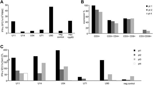 Figure 6. HHV6B-specific T cells are detected in the peripheral blood of HSCT recipients. PBMCs isolated from a HSCT recipient at the time of acute HHV6 infection were tested for specificity against our panel of HHV6 antigens, using IFN-γ ELISPOT as a readout. Unstimulated PBMCs were used as a negative control, whereas stimulation with a cocktail of CMV-pp65 and Adv-Hexon pepmixes was used to assess the relative frequency of circulating T cells directed against other ubiquitous viruses. Results are expressed as SFCs/1 × 105 input PBMCs (A). PBMCs from 4 other HSCT recipients with recently controlled HHV6 reactivations were stimulated with HHV6B antigen-spanning pepmixes and expanded for 9-10 days in presence of IL-4 + IL-7. (B) Phenotype of the expanded cells assessed by flow cytometry (mean ± SD expression). (C) Specificity by IFN-γ ELISPOT assay; results are expressed as SFCs/1 × 105 input cells.
