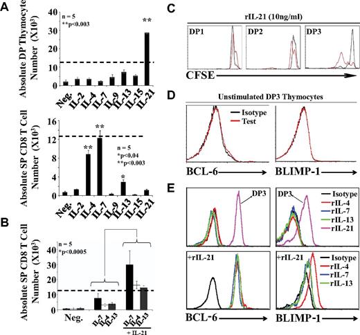 Figure 3. IL-21 has a unique ability to expand DP thymocytes during positive selection. (A) Absolute numbers of DP (top panel) and SP (bottom panel) CD8 thymocytes after culture of 12.5 × 103 DP3 OT-I thymocytes with EIINFEKL-pulsed OP9 cells supplemented with cytokines. Dashed lines represent the number of cells seeded per well at time 0. (B) Synergistic effect of IL-21 on CD8 T-cell differentiation. Five mice per group were tested. (C) CFSE content in DP1/DP2/DP3 thymocytes supplemented with 10 ng/mL of rIL-21 in the absence (black line) or presence (red line) of EIINFEKL-pulsed OP9 cells. (D) Representative flow cytometric analysis of intracellular BCL-6 and BLIMP-1 expression in unstimulated DP3 thymocytes. (E) Representative flow cytometric analysis of intracellular BCL-6 and BLIMP-1 expression in cocultures supplemented with various cytokines (2 ng/mL except for rIL-21, which was used at 10 ng/mL). Histograms are gated on SP CD8 T cells except for the 2 histograms gated on DP3 cells in the top panels. All data shown are representative of 3 separate experiments.