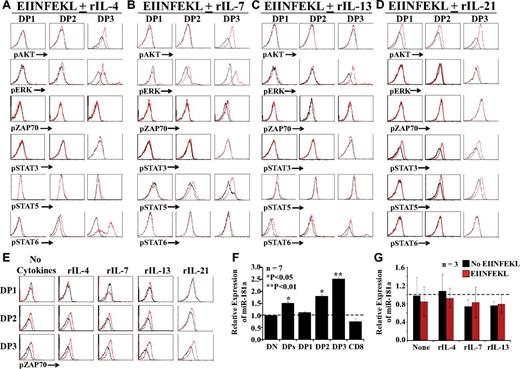 Figure 5. TCR- versus cytokine-dependent signaling events. (A-D) Representative flow cytometric analysis of phosphoproteins in fractionated DP thymocytes cultured for with peptide-pulsed OP9 cells for 24 hours in medium supplemented with rIL-4, rIL-7, rIL-13, or rIL-21 (red histograms) or no cytokines (black histograms). (E) DP thymocytes were cultured in medium containing rIL-4, rIL-7, rIL-13, rIL-21, or no cytokines with (red) or without (black) EIINFEKL-pulsed OP9 cells. For panels A through E, 3-6 mice per group were tested in separate experiments. (F) qPCR analysis of miR-181a expression in freshly harvested thymocyte subsets from OT-I mice. Data depict transcript abundance relative to DN thymocytes. (G) qPCR analysis of miR-181a in DP3 thymocytes cultured for 24 hours in cytokine-supplemented medium in the presence or absence of peptide-pulsed OP9 cells. In panels F and G, 3-7 mice per group were tested. *P < .05; **P < .01.