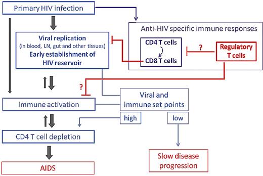 Figure 1. Potential roles for Tregs in the natural history of HIV infection. Tregs may contribute to immune deficiency by inhibiting HIV-specific T-cell responses involved in the control of HIV replication. Conversely, Tregs might be beneficial through a decrease in immune activation, known to independently predict disease progression.