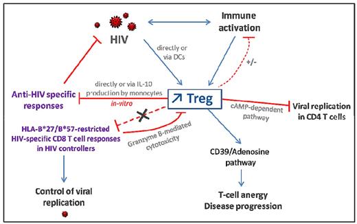 Figure 2. Consequences of Treg expansion in HIV-infected patients. HIV infection leads to increased Treg frequencies directly through gp120/CD4 interaction and, indirectly, via alteration of DCs or as a consequence of generalized immune activation. Tregs can inhibit HIV-specific T-cell responses directly via a cell-cell contact dependent mechanism or through induction of IL-10 production by monocytes. However, HIV-specific CD8 T cells restricted by protective HLA alleles (in HIV controllers) are resistant to Treg-mediated suppression. Tregs may dampen low level of residual immune activation in ART-treated patients but are not efficient in primary and chronic untreated HIV-infected patients exhibiting high levels of immune activation. CD39 expression on Tregs increases during HIV infection and is associated with disease progression. Indeed, CD39 activity leads to elevated adenosine levels which activates the A2aR pathway involved in T-cell anergy and unresponsiveness. On the other hand, CD39+ Tregs might decrease viral replication in activated CD4 T cells through a cAMP-dependent mechanism.