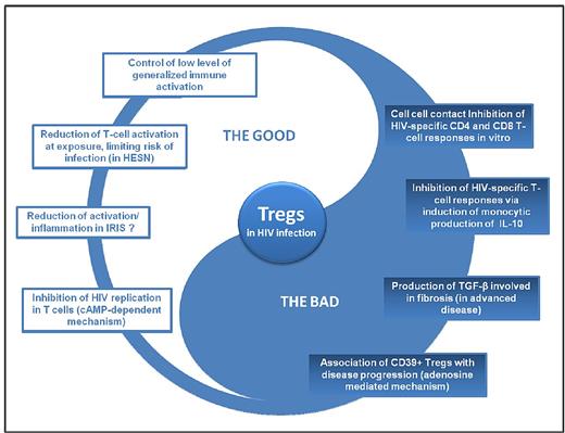 Figure 3. Dual role of Tregs in HIV infection. HESN indicates HIV-exposed seronegative individuals.