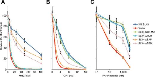 Figure 3. Analysis of the sensitivity of RA3331/E6E7/hTERT cell lines expressing SLX4 mutants to MMC, CPT, and PARP inhibitor. (A) MMC sensitivity in RA3331/E6E7/hTERT cell lines expressing indicated SLX4 mutants. (B) CPT sensitivity in RA3331/E6E7/hTERT cell lines expressing indicated SLX4 mutants. (C) PARP inhibitor sensitivity assay of RA3331/E6E7/hTERT cell lines expressing indicated SLX4 mutants. RA3331/E6E7/hTERT fibroblast cell lines expressing WT SLX4, empty vector, SLX4 UBZ mut, SLX4 ΔMLR, SLX4 ΔSAP, and SLX4 ΔSBD were treated in triplicate with increasing concentrations of MMC (0-100nM), CPT (0-16nM), and PARP inhibitor (0-10μM). After 8 days in culture, the cell number was determined using a Coulter counter. The number of cells at each drug concentration was divided by the number of cells in the untreated sample to calculate the percentage of cell survival. The error bars represent SD from 3 replicates. Sensitivity assays in cells expressing the other SLX4 mutants used in this study are shown in supplemental Figure 3.