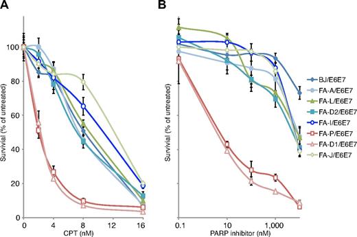 Figure 5. Analysis of CPT and PARP inhibitor sensitivity of FA fibroblast cell lines. (A) CPT sensitivity assay of the indicated FA fibroblast cell lines. (B) PARP inhibitor sensitivity assay of the indicated FA fibroblast cell lines. All cell lines have been transduced with HPV E6E7. Indicated FA cell lines were treated in triplicate with increasing concentrations of CPT (0-16nM) and PARP inhibitor (0-10μM). After 8 days in culture, the cell number was determined with Coulter counter. The number of cells at each drug concentration was divided by the number of cells in the untreated sample to calculate the percentage of cell survival. The error bars represent SD from 3 replicates.