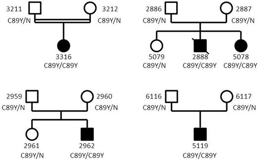 Figure 1. Pedigree of the families of identified patients.