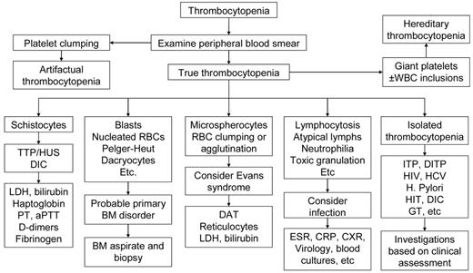 Figure 1. Algorithm for workup of thrombocytopenia based on the observation of the peripheral blood film. The thrombocytopenia of ITP is by definition an isolated hematologic abnormality, although anemia of pregnancy or iron deficiency may also be present. Other than an occasional large form, platelets should appear normal. Consistently large and/or hypogranular platelets may suggest congenital thrombocytopenia. Uniformly small platelets are typically found in Wiskott-Aldrich syndrome. The presence of targeted red blood cells, schistocytes, macrocytosis, or spherocytes may be clues to liver disease, thrombotic microangiopathy, nutritional deficiencies, or autoimmune hemolysis. A direct antiglobulin test is necessary to rule out complicating autoimmune hemolysis (Evans syndrome). DITP indicates drug-induced thrombocytopenia; HIT, heparin-induced thrombocytopenia; and GT, gestational thrombocytopenia.