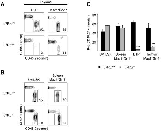 Figure 4. Thymic granulocyte development is IL-7Rα dependent. (A) The development of CD45.2+ ETPs and thymic granulocytes in the absence of IL-7Rα was examined in competitive BM chimeras 8 weeks after reconstitution of lethally irradiated CD45.1+ hosts. (B) The development of CD45.2+ BM Lin−Sca1+Kit+ (LSK) and splenic granulocytes in the absence of IL-7Rα was examined in mixed BM chimeras 8 weeks after reconstitution of lethally irradiated CD45.1+ hosts. (C) Shown is the mean percent CD45.2+ donor contribution to BM LSK, splenic granulocytes, ETPs, or thymic granulocytes by IL-7Rα+/+ (black bars) or IL-7Rα−/− (gray bars) BM. Three mice per group were examined. Error bars represent SEM. ***P < .001 for the CD45.2+ donor chimerism of the indicated population compared with BM LSK CD45.2+ donor chimerism.