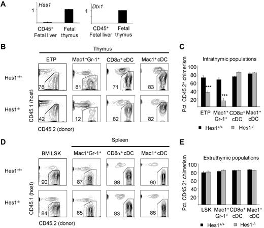 Figure 5. Thymic granulocyte development requires the Notch target gene Hes1. (A) Hes1 is expressed in the thymus, like another Notch target, Deltex1. Hes1 and Deltex1 expression in fetal liver are minimal. (B) The development of CD45.2+ thymic ETPs, granulocytes, and cDCs was examined in the absence of Hes1 in mixed fetal liver chimeras 8-10 weeks after reconstitution of lethally irradiated CD45.1+ hosts. (C) Mean percent CD45.2+ donor contribution to each intrathymic lineage by Hes1+/+ (black bars) or Hes1−/− (gray bars) fetal liver. Four mice per group were examined. ***P < .001 for the CD45.2+ donor chimerism of the indicated population compared with BM Lin−Sca1+Kit+ CD45.2+ donor chimerism. (D) The development of CD45.2+ BM Lin−Sca1+Kit+, splenic granulocytes, and cDCs was examined in the absence of Hes1 in mixed fetal liver chimeras 8-10 weeks after reconstitution of lethally irradiated CD45.1+ hosts. (E) Mean percentage CD45.2+ donor contribution to each lineage by Hes1+/+ (black bars) or Hes1−/− (gray bars) fetal liver. Four mice per group were examined. Error bars represent SEM.