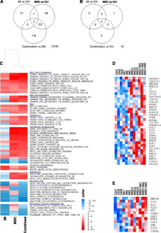 Figure 5. Microarray assay of gene expression in CML CD34+ cells cocultured with and without MSCs and with or without IM. (A) The number of differentially expressed genes when comparing the different treatments and (B) the interactions between MSCs and IM in determining gene expression in CML CD34+ cells are shown. GSEA showed increased expression of gene sets related to HSC self-renewal and quiescence, cytokine signaling, adhesion, metabolism, and cell cycle regulation in MSC-cocultured CML CD34+ cells with or without IM (C) and enrichment of cadherin (D) and Wnt–β-catenin (E) –related gene sets.