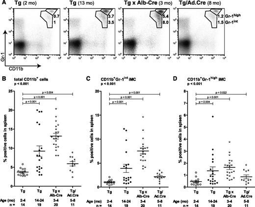 Figure 2. iMC expand upon autochthonous tumor development. Single-cell preparations of spleens were stained with antibodies against CD11b and Gr-1. Spleens were derived from young LoxP-Tag mice (Tg, 2-4 months), LoxP-Tag mice bearing sporadic tumors (Tg; kidney tumor n = 7, HCC n = 5, colon tumor n = 4, others n = 3), HCC-bearing LoxP-Tag × Alb-Cre mice (Tg × Alb-Cre), and Ad.Cre-infected LoxP-Tag mice bearing virus-induced HCC (Tg/Ad.Cre). (A) One representative example per experimental group is shown; numbers indicate the percentage CD11b+Gr-1high and CD11b+Gr-1int iMC of total spleen cells. All data are summarized in (B-D). The percentage of total CD11b+ cells (B), CD11b+Gr-1int iMC (C), and CD11b+Gr-1high iMC (D) in spleens of young Tg mice, tumor-bearing Tg mice, Tg × Alb-Cre mice, and Tg/Ad.Cre mice is indicated. Horizontal bars show means; error bars represent SEM. Overall significance for each graph was tested by Kruskal–Wallis 1-way analysis of variance.