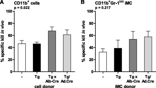 Figure 4. iMC from mice bearing Tag-driven autochthonous tumors do not transfer CTL suppression in vivo. (A, B) The suppressive potential of CD11b+ cells (A) and CD11b+Gr-1int iMC (B) from LoxP-Tag mice bearing sporadic tumors (Tg), HCC-bearing LoxP-Tag x Alb-Cre mice (Tg × Alb-Cre), and Ad.Cre-infected LoxP-Tag mice bearing virus-induced HCC (Tg/Ad.Cre) was analyzed upon cell transfer into B6 mice, immunized with Tag pIV in incomplete Freund's adjuvant. In vivo cytotoxicity against Tag peptide IV was analyzed by flow cytometry. The percentage of specific killing in vivo is indicated. Experimental groups were no iMC (ø, n = 7), iMC from Tg mice (n = 3), iMC from Tg × Alb-Cre mice (n = 5), and iMC from Tg/Ad.Cre mice (n = 4). Bars represent means; error bars indicate SEM.