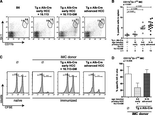Figure 6. Tumor-induced CD11b+Gr-1int iMC transfer CTL suppression if induced by GM-CSF. (A) Spleen cells of B6 mice, LoxP-Tag × Alb-Cre mice (Tg × Alb-Cre) with early primary HCC and transplanted Tag+ 16.113 tumors, Tg × Alb-Cre mice with early primary HCC and transplanted Tag+ GM-CSF-secreting 16.113 tumors (16.113-GM), and Tg × Alb-Cre mice with advanced primary HCC (but no 16.113 tumor) were double stained with antibodies against CD11b and Gr-1. One representative example per experimental group is shown. Numbers indicate the percentage of CD11b+Gr-1high and CD11b+Gr-1int iMC of total spleen cells. All data for CD11b+Gr-1int iMC are shown in (B). (C) CD11b+Gr-1int iMC from Tg × Alb-Cre mice with early primary HCC and additionally transplanted 16.113-GM tumors and LoxP-Tag × Alb-Cre mice with advanced primary HCC (but no 16.113 tumor) were transferred IV into B6 mice and immunized with pIV subcutaneously on the same day. Naive and immunized B6 mice, which did not receive CD11b+Gr-1int iMC served as control. Eight to 10 days later, in vivo cytotoxicity was analyzed. One representative histogram of each experimental group is shown. All data for transferred CD11b+Gr-1int iMC are shown in (D). The percentage of specific killing in vivo is indicated. Experimental groups were: no iMC (ø, n = 4), iMC from Tg × Alb-Cre with early HCC and 16.113-GM (n = 3), and iMC from Tg × Alb-Cre with advanced HCC (n = 6). Early HCC, microscopically detectable tumors; advanced HCC, macroscopically visible tumors. Bars represent mean, error bars indicate SEM. Overall significance for each graph was tested by Kruskal–Wallis 1-way analysis of variance.