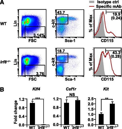 Figure 6. Irf8−/− MDPs do not express Klf4 mRNA. (A) Flow cytometric analysis of Lin− Sca-1− CD117int/+ CD115+ MDPs. Numbers in parentheses indicate percentages of MDPs relative to whole bone marrow cells. Similar results were obtained in three other independent experiments. (B) Lin− Sca-1− CD117int/+ CD115+ MDPs were isolated from WT and Irf8−/− mice by cell sorting. Klf4, Csf1r, and Kit mRNA expression levels were analyzed by qRT-PCR in triplicate using the ΔΔCT method and were normalized by comparison with levels of Gapdh (mean ± standard deviation). (**) P < .01, (***) P < .001 (Student t test).