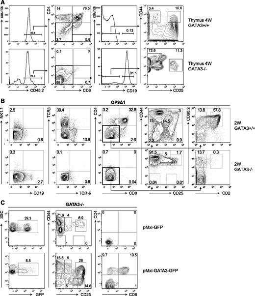 Figure 1. Notch-stimulated Gata3−/− hematopoietic progenitors fail to generate T cells. (A) Flow cytometric analyses were performed on the thymus of chimeras generated by the injection of CD45.2+ Gata3+/− and Gata3−/− fetal liver cells into sublethally irradiated CD45.1+ Rag2−/−Il2rg−/− recipients. Animals were analyzed 4 weeks after transplantation. All plots are gated on live lymphocytes. (B) Gata3+/− and Gata3−/− fetal liver cells were cultured on OP9 stromal cells expressing the Notch-ligand Dll1 (OP9Δ1) or Dll4 (OP9Δ4) in the presence of IL-7 and Flt3L for 2 weeks. Plots show the expression of the indicated surface markers on live CD45.2+ lymphocytes. (C) Retroviral transduction of Lin-CD117+ precursors from 2-week Gata3−/− OP9Δ1 cultures with pMXI-GFP or pMXI-GATA3-GFP retroviral particles. Two weeks after transfection, transduced cells were analyzed for the expression of GFP (left panels). CD45.2+ GFP+ Lin- cells were analyzed for the expression of CD44 vs CD25 (middle panels) and CD4 vs CD8 (right panels), respectively.