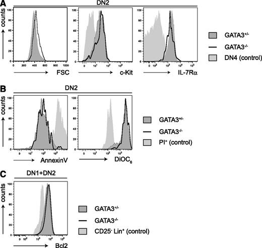 Figure 2. GATA-3-deficiency does not influence the survival of DN2 T-cell precursors. (A) The graphs show flow cyotmetric analysis of forward scatter, c-Kit, and IL-7Rα expression on CD44+CD25+CD4-CD8- “double negative 2” (DN2) subsets of Gata3+/− and Gata3−/− OP9Δ1 cocultures after 2 weeks. Filled histograms indicate Gata3+/− cells, and solid lines indicate Gata3−/− cells. DN4 cells served as controls (light gray histograms). (B) DN2 cells were analyzed for annexin V binding (apoptosis) and DiOC6 staining. Filled histograms indicate Gata3+/− cells, and solid lines indicate Gata3−/− cells. PI+ cells were used as controls (light gray histograms). (C) DN1 and DN2 cells were analyzed for intracellular Bcl2 expression. Filled histograms indicate Gata3+/− cells, and solid lines indicate Gata3−/− cells. Lin-CD25+ cells were used as a negative control (light gray histogram).
