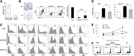 Figure 1. Impact of C3 produced by HpSCs on induction of MDSCs in vitro. (A) mRNA expression of C3 in hepatocytes and HpSCs from normal B6 mice were determined by qPCR assay. (B) Impact of C3 produced by HpSCs on myeloid cell development. HpSCs prepared from C3−/− or WT B6 mice were stained with anti-C3 Ab (red) and examined under a microscope (left panels). HpSCs from C3−/− or WT mice were added at the beginning of B6 BM cell culture at a ratio of 1:80 in the presence of GM-CSF for 5 days. Culture without HpSCs served as a control. The floating cells were harvested, stained for CD11b, CD11c, and analyzed by flow cytometry (middle panels). The number represents the percentage of the positive cells in the whole-cell population. The absolute number of CD11c+ cells per well were calculated based on flow analysis (right panel). (C) Expression of key surface molecules. The cells were analyzed by gating on CD11b+ cells and expressed as histograms. The clear areas are isotype controls. The number is a percentage of the positive cells in the CD11b+ cells. (D) Expression of iNOS and arginase 1. CD11b+ cells were purified (magnetic beads), examined for mRNA expression of iNOS and arginase 1 by qPCR, and expressed as a mean ± 1 SD (n = 3). (E) Allostimulatory activity. BALB/c spleen T cells (2 × 105 per well) were cultured with a graded number of irradiated CD11b+ cells in triplicate for 3 days. The proliferative response was determined by 3H-thymidine incorporation and expressed as mean cpm ± 1 SD. (F) CD11b+ cells from the C3−/− HpSC group largely lose the ability to inhibit the T-cell proliferative response. In an MLR culture, CFSE-labeled B6 spleen T cells were cultured with irradiated BALB/c DCs at a ratio of 20:1 for 3 days. CD11b+ cells purified from the DC culture in the presence of WT or C3−/− HpSCs (referred as MDSCs) were added at the beginning into the MLR culture at a DC:MDSC ratio of 1:1. Addition of DCs, instead of MDSCs, served as control. The proliferative response was determined by CFSE dilution gated in the CD3+ population. The data are representative of 3 separate experiments.