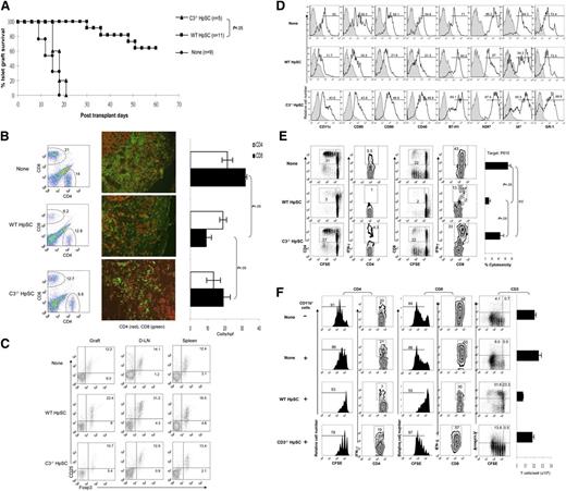 Figure 2. Impact of HpSC-produced C3 on induction of MDSCs in vivo. Three hundred BALB/c islets were mixed with 2.5 × 105 HpSCs isolated from C3−/− or WT (B6) mice and transplanted into diabetic B6 recipients. Islet allografts alone served as controls (None). Islet graft survival was monitored by blood glucose levels as described in “Materials and methods.” For cellular analyses, the animals were sacrificed on POD 7. (A) HpSCs deficient in C3 lost their ability to protect islet allografts. (B) C3 deficiency in cotransplanted HpSC reversed attenuation of CD8+ T-cell infiltration in the islet allografts. The infiltrating cells were isolated from the islet allografts, and analyzed for CD4+ and CD8+ T cells by flow cytometry (left panels, the number is the percentage of positive cells in the total cell population) and immunohistochemistry. The positive cells were counted under a microscope. A total of 10 hpf’s were randomly selected in each graft and expressed as mean cells per hpf ± 1 SD (middle and right panels). (C) Fewer Treg cells are induced by cotransplanted C3−/− HpSCs. T cells isolated from islet grafts, D-LNs, and spleen were stained for CD4, CD25, and Foxp3, and analyzed by flow cytometry by gating on CD4+ T cells. The number is the percentage of positive cells in the CD4+ cell population. (D) Impact of HpSCs produced C3 on key molecule expression on myeloid cells. CD11b+ cells purified from islet allografts were analyzed for expression of the indicated surface markers by flow cytometry and expressed as histograms. The filled areas are isotype controls. The number is the percentage of positive cells in the CD11b+ cell population. (E) Myeloid cells isolated from islet/C3−/− HpSC grafts demonstrate high allostimulatory activity. CFSE-labeled B6 spleen T cells were cultured for 3 days with the irradiated CD11b+ cells isolated from the islet grafts in each group (at a ratio of 10:1). T-cell responses were determined by CFSE dilution and intracellular expression of IFN-γ in CD4 and CD8 T cells. The number is the percentage of positive cells in the T-cell subset. (Right panel) Generation of CTLs. B6 spleen T cells cultured, at a ratio of 10:1, for 5 days, with CD11b+ cells isolated from islet grafts that had been pulsed with BALB/c spleen cell lysates were used as effectors. P815 (H2d), EL4 (H2b), or R1.1 (H2k) lymphoma cells labeled with the fluorescent dye BCECF were used as donor-specific, syngeneic, and third-party targets, respectively, and expressed as a percentage of H2d-specific cytotoxicity ± 1 SD (n = 3). No cytotoxicity was generated against syngeneic and third-party targets (data not shown). (F) Impact of HpSC-produced C3 on differentiation of suppressive myeloid cells. CD11b+ cells isolated from islet grafts from each group were added into CFSE-labeled BALB/c spleen T-cell (2 × 105) culture (at a ratio of 1:10) in which T-cell responses were elicited by addition of anti-CD3 mAb (2 μg/mL) for 3 days. No addition of CD11b+ cells served as control. CD4+ or CD8+ T-cell responses were determined by CFSE dilution (proliferation) and intracellular staining for IFN-γ. Expression of annexin V was analyzed on T-cell (CD3+) populations, and T-cell absolute numbers were calculated based on flow analysis data (right panel). The number is the percentage of positive cells in the T-cell subset or whole T cells. The data are representative of three separate experiments.