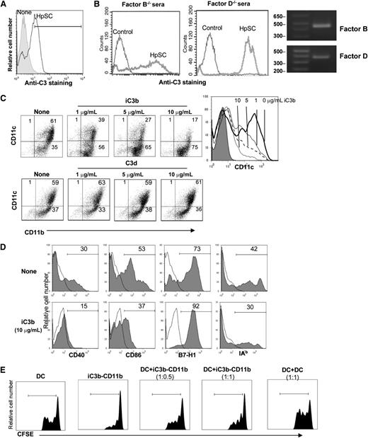 Figure 3. The role of iC3b on MDSC differentiation. (A) HpSCs enhances accumulation of C3 activation products on myeloid cells. HpSCs isolated from B6 mice were added at the beginning of B6 BM cell culture at a ratio of 1:80 in the presence of GM-CSF for 5 days. Culture without HpSCs served as the control (None). CD11b+ cells were purified with magnetic beads, stained with anti-C3 for flow analysis, and expressed as a histogram (the filled area indicates the isotype control). (B) HpSCs produce functional factor B and D. Flow analysis of C3 activation product deposition on zymosan that were incubated with sera from factor B or factor D knockout mice with compensation by control medium (Control) or HpSC culture medium. (Right panels) mRNA expression of factor B and D in HpSCs determined by semiquantitative PCR. (C) Exogenous iC3b facilitated generation of CD11b+CD11c− cells in a dose-dependent manner. Graded doses (as indicated) of exogenous iC3b or C3d were added at the beginning into B6 BM cell culture with GM-CSF for 5 days. The floating cells were harvested and stained with anti-CD11b and -CD11c and analyzed by flow cytometry (gated on CD11b+ cells). The number is the percentage of positive staining in CD11b+ cells. The expression of CD11c was also demonstrated in a histogram (gated on CD11b+ cells) following incubation with various concentrations of iC3b (right panel). (D) The iC3b-conditioned myeloid cells show immature phenotype. Expression of the key molecules was analyzed by flow cytometry by gating on CD11b+ cells and expressed as histograms (open area refers to the isotype control). The figure shows the results of iC3b (10 μg/mL) group compared with no iC3b control. (E) The iC3b-induced myeloid cells inhibit the T-cell proliferative response. CFSE-labeled BALB/c spleen T cells were elicited with B6 DCs at a ratio of 20:1 (3 days). The tested CD11b+ cells were purified from the iC3b (10 μg/mL) group, and added at the beginning into the culture at a DC:CD11b+ cell ratio of 1:0.5 or 1:1. Addition of DCs instead of the CD11b+ cells at a ratio of 1:1 served as control. The proliferation of T cells was determined by CFSE dilution (gated on the CD3+ population). These data are representative of three separate experiments.