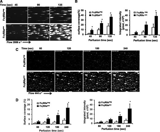 Figure 3. FcγRIIa amplifies thrombus formation. Laminar flow chambers were coated with 50 µg/mL type I fibrillar collagen and blocked with Hank balancing salt solution containing 0.1% BSA. Whole blood from WT (FcγRIIaneg) and transgenic (FcγRIIapos) mice was anticoagulated with heparin and PPACK, labeled with mepacrine, and perfused under conditions of either arterial (2888 s−1) or venous (444 s−1) shear. Images of platelet adhesion and accumulation were acquired using epifluorescence microscopy in real time at a rate of 1 frame per second. (A,C) Representative time-course images of platelet adhesion and accumulation on collagen at a shear rate of 2888 s−1 (A) or 444 s−1 (C). (B,D) Quantification of platelet thrombi formed at 2888 s−1 (B) or 444 s−1 (D) was performed using Metamorph software. Results are expressed as the mean percentage of surface coverage (left panels) or total integrated fluorescence intensity (right panels) ± SEM (n ≥ 7 per group). Statistically significant differences between the means were determined using the Student t test. Note that thrombus formation was significantly increased (*P < .05) for FcγRIIapos platelets compared with their WT murine counterparts under conditions of both arterial and venous flow.