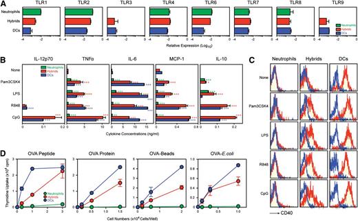 Figure 5. Neutrophil-DC hybrids acquire functionality as APCs. (A) Ly6G+/CD11c−/MHC II− neutrophils, Ly6G+/CD11c+/MHC II+ neutrophil-DC hybrids, and Ly6G−/CD11c+/MHC II+ traditional DCs purified from GM-CSF–supplemented BM culture (d 6) were examined for TLR mRNA expression profiles by quantitative polymerase chain reaction (means ± SD from triplicate samples). (B-C) The same 3 purified populations were cultured for 24 h with phosphate-buffered saline alone or each of the indicated TLR agonists. The samples were then examined for cytokine release measured by the cytometric bead array system (means ± SD from triplicate cultures) (B) and surface expression of CD40 (C). (D) The same 3 purified populations were pulsed for 60 min with the indicated form of OVA antigen and then co-cultured with OVA-specific CD4 T cells from OT-II TG mice (means ± SD from triplicate cultures). *P < .05, **P < .01, ***P < .001 compared with control group treated with PBS alone. Data are representative of at least 2 independent experiments.