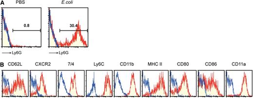 Figure 2. Bacterial infection triggers the emergence of neutrophil-DC hybrids. (A) PECs harvested from C57BL/6 mice 24 hours after intraperitoneal injection of PBS alone or E. coli were examined for surface expression of Ly6G, CD11c, and MHC II. Data shown are staining profiles with anti-Ly6G mAb (red) or control IgG (blue) within the CD11chigh/MHC II+ gated populations. (B) The same PEC samples harvested after E. coli injection were examined for expression of the indicated leukocyte markers within the Ly6G+/CD11chigh gated population. Data are representative of 5 independent experiments.