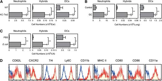 Figure 3. Emergence of neutrophil-DC hybrids in various organs under inflammatory conditions. Single cell suspensions were prepared from ear skin samples harvested from KC-Tie2 TG mice or age-matched WT mice (3 mice per panel) (A), from lung samples harvested from BALB/c mice (3 mice per panel) 48 hours after intratracheal instillation of GC frass or PBS alone (B), or from skin-draining LN samples harvested from C57BL/6 mice (5 mice per panel) 24 hours after subcutaneous inoculation of live E. coli or PBS alone (C). Data shown are the numbers (means ± SD) of Ly6G+/CD11c−/MHC II− neutrophils, Ly6G+/CD11chigh/MHC II+ neutrophil-DC hybrids, and Ly6G−/CD11chigh/MHC II+ traditional DCs. *P < .05; **P < .01 between the indicated samples. (D) The same LN samples harvested after E. coli injection were examined for expression of the indicated leukocyte markers within the Ly6G+/CD11chigh gated population. Data are representative of 5 independent experiments.